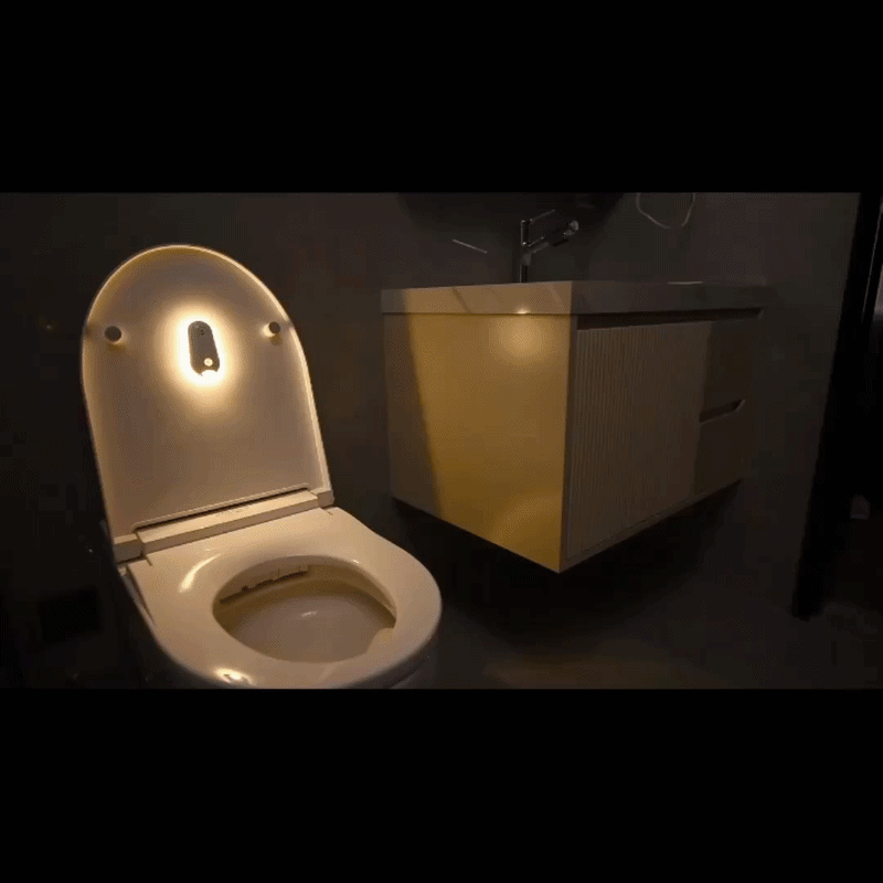 Self Cleaning UV Toilet Sanitizer & Night Light